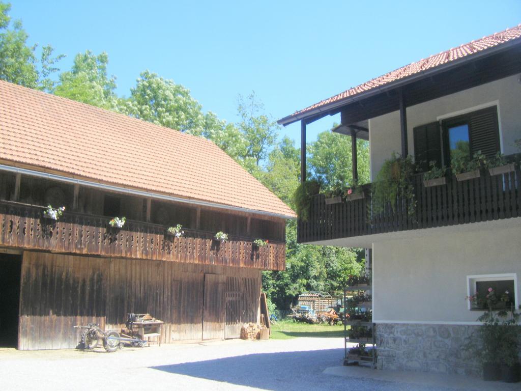 Guest House Kmetija Dane Buitenkant foto